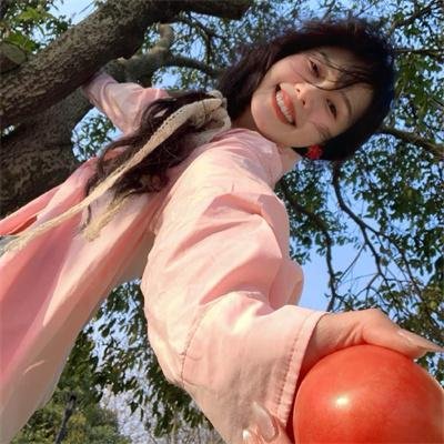 新仙鹤神针